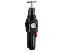Aşırı sıcaklık uygulamaları için Excelon Plus filtre/regülatör, 1/2 PTF, 5 µm, 0,3-10 bar, otomatik tahliye, göstergeli