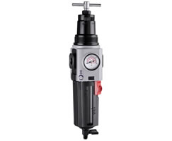 Excelon Plus filtre/regülatör, 3/4 PTF, 5 µm, 0,3-4 bar, manuel tahliye, göstergeli