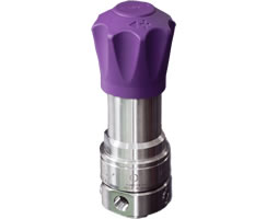 IMI Maxseal J70 serisi 1/4 NPT yaylı basınç regülatörü, 2-20 bar