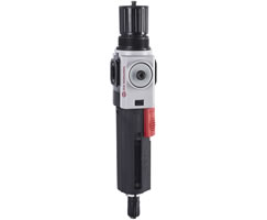 Excelon Plus filtre/regülatör, 1/4 NPT, 40μm, 0,3-4 bar, otomatik tahliye, göstergesiz