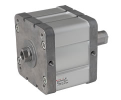 ISO kompakt çift etkili silindir, iç dişli, çift uçlu piston kolu, 125 mm çap, 25 mm strok